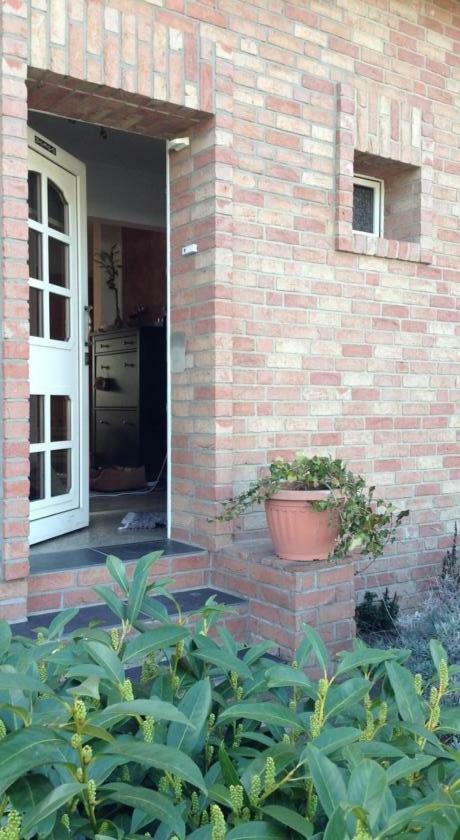 Ferienwohnung Mit Garten In Koeln 외부 사진
