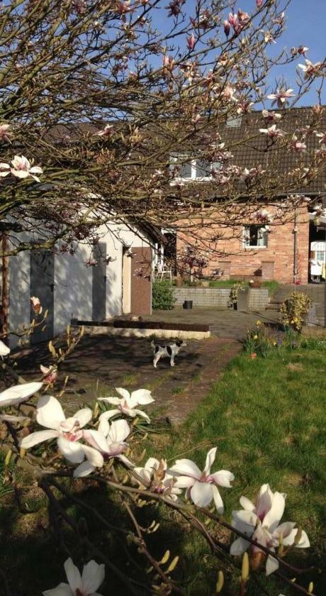 Ferienwohnung Mit Garten In Koeln 외부 사진