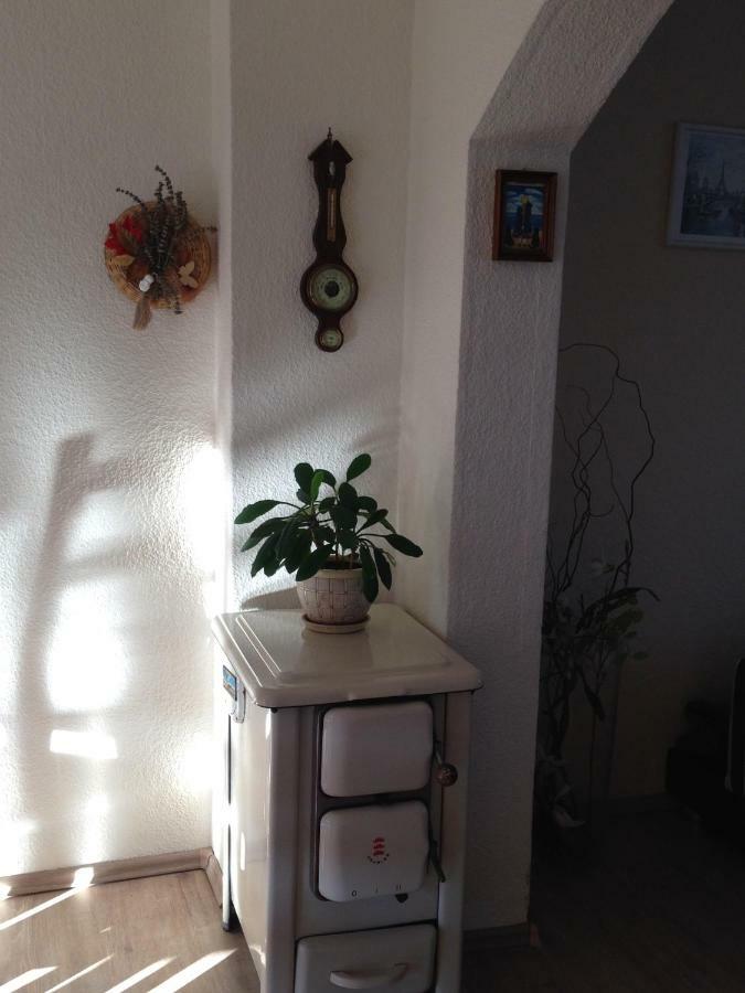 Ferienwohnung Mit Garten In Koeln 외부 사진